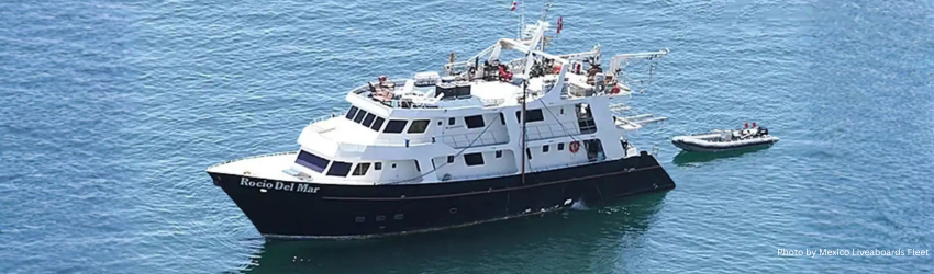 Aerial perspective of the 110-foot Rocio del Mar liveaboard and its accompanying panga boat on the calm blue water. 