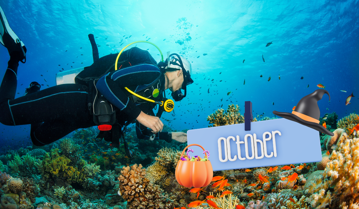 A scuba diver in full gear swimming over a vibrant, sunlit coral reef in clear blue water, featuring a playful 'October' sign with a pumpkin candy bucket and a witch's hat