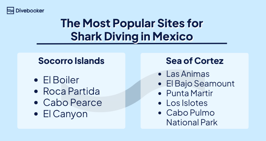 A chart listing popular sites for shark diving in Mexico, including El Boiler in Socorro and Cabo Pulmo in the Sea of Cortez
