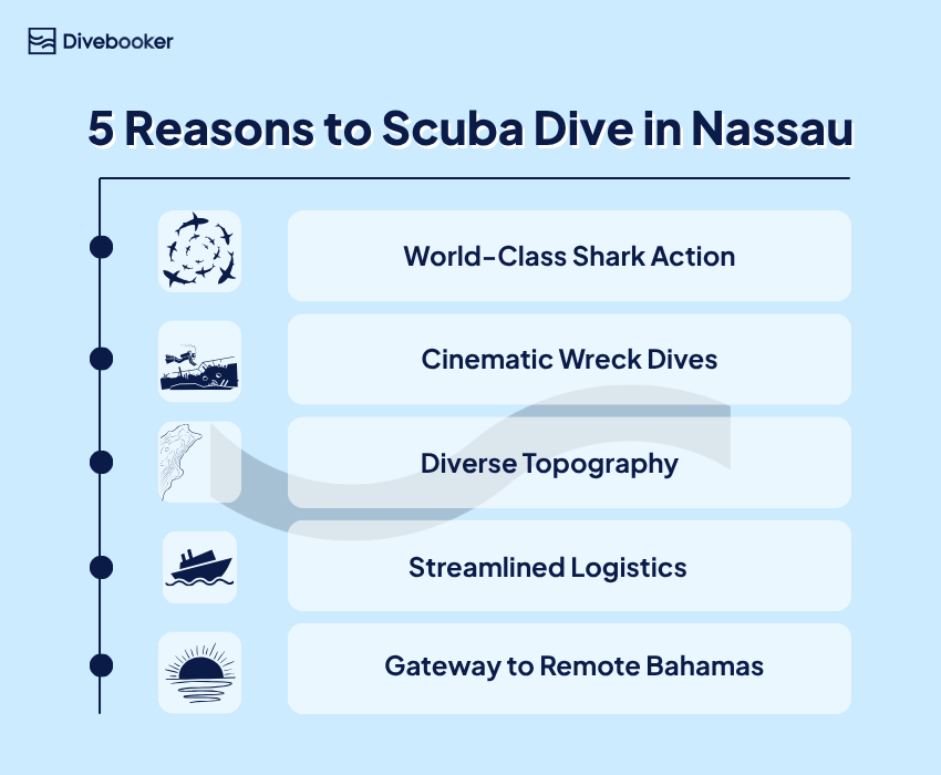 5 Reasons to Scuba Dive in Nassau An informational graphic banner detailing 5 reasons to try Nassau scuba diving, featuring images of shipwrecks, coral reefs, marine life, and premium Bahamas liveaboard vessels.