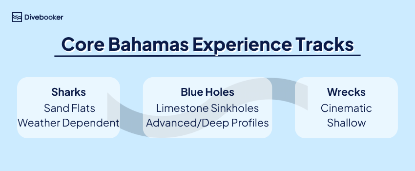 Core Bahamas Experience Tracks Structural map summarizing signature Bahamas diving experiences split into shark encounters, historic wrecks, and deep blue holes.