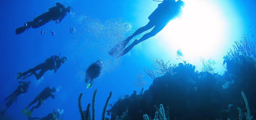 Scuba divers exploring a vibrant coral reef in Turks and Caicos. 