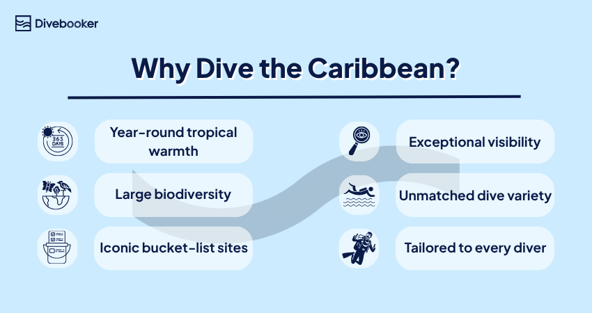 An infographic titled "Why Dive the Caribbean?" that highlights key benefits: year-round tropical warmth, large biodiversity, iconic bucket-list sites, exceptional visibility, unmatched dive variety, and being tailored to every level of diver.