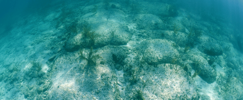 Bimini Road or Bimini Wall is an underwater rock formation in the Bahamas