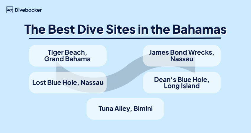 the best dive sites in the Bahamas Diagram mapping out the top dive sites in the Bahamas including Tiger Beach, Lost Blue Hole, and Dean's Blue Hole.