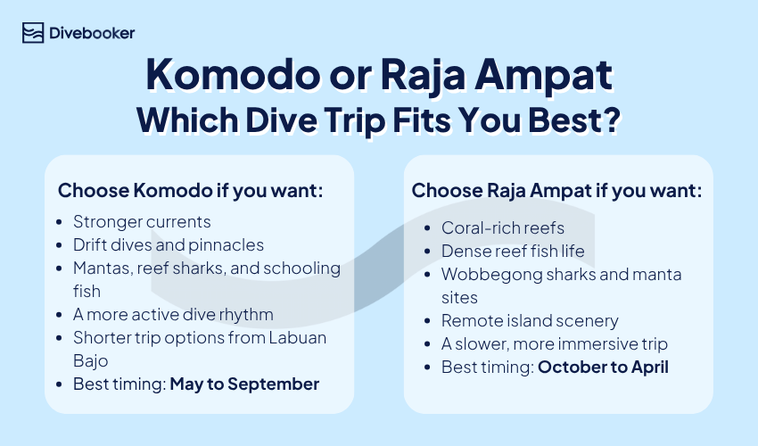 Infographic comparing Komodo and Raja Ampat dive trips by currents, marine life, scenery, and season 