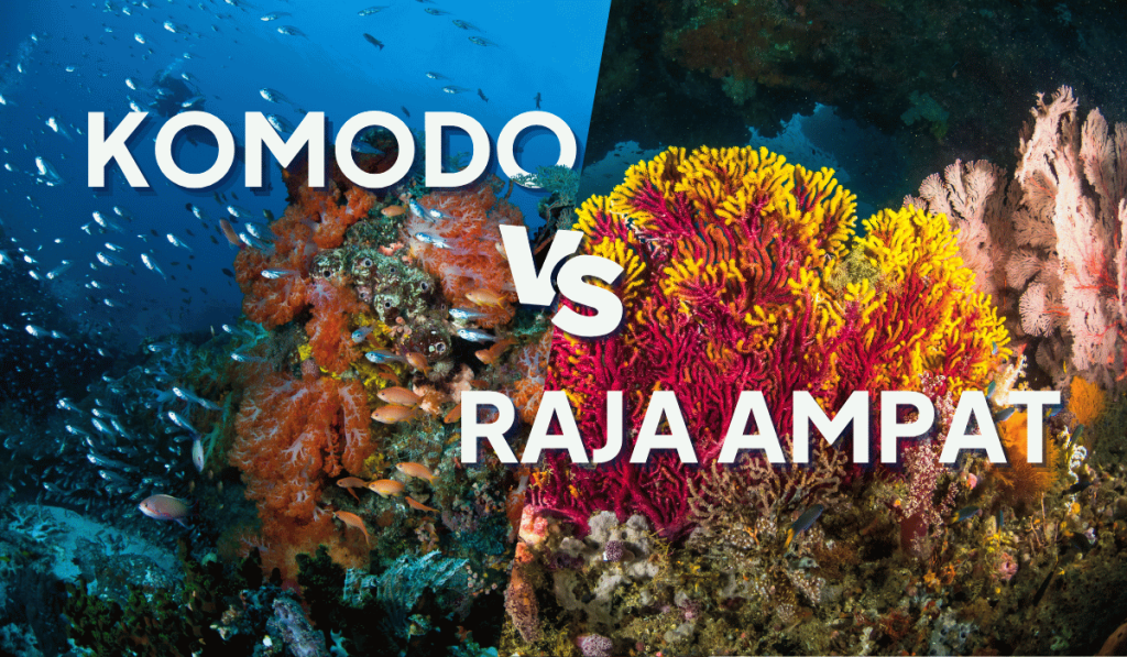 Split underwater reef scene comparing Komodo and Raja Ampat diving