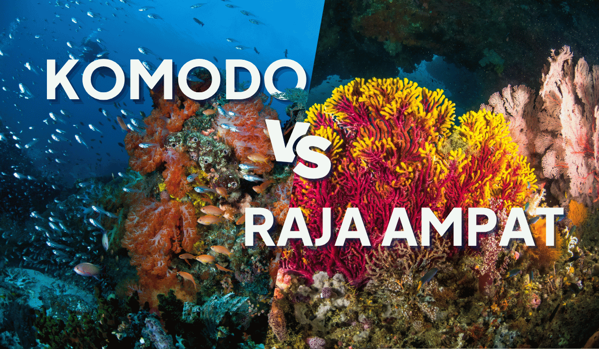 Split underwater reef scene comparing Komodo and Raja Ampat diving