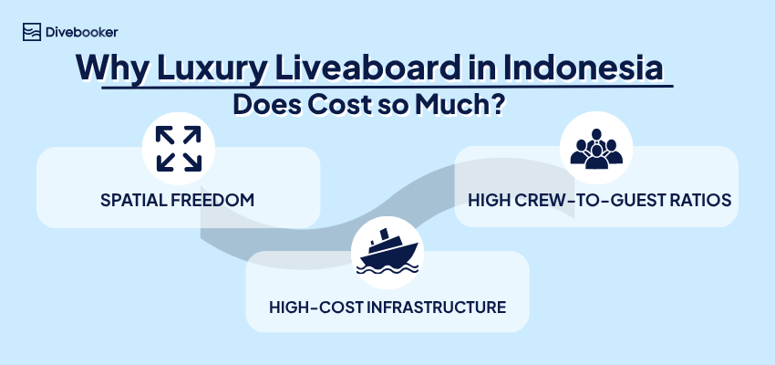 Why Luxury Liveaboard in Indonesia does cost so much Divebooker infographic titled "Why Luxury Liveaboard in Indonesia Does Cost so Much?" highlighting three key value pillars with icons: Spatial Freedom, High-Cost Infrastructure, and High Crew-to-Guest Ratios