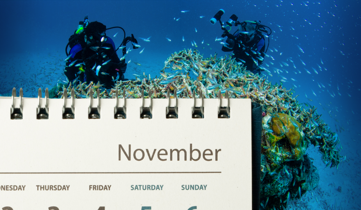 Two scuba underwater photographers filming a vibrant coral reef teeming with tropical fish behind a calendar page showing November
