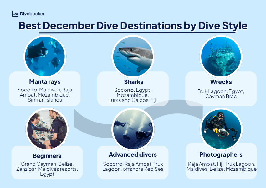 Infographic showing the best December dive destinations for mantas, sharks, wrecks, beginners, advanced divers, and photographers. 