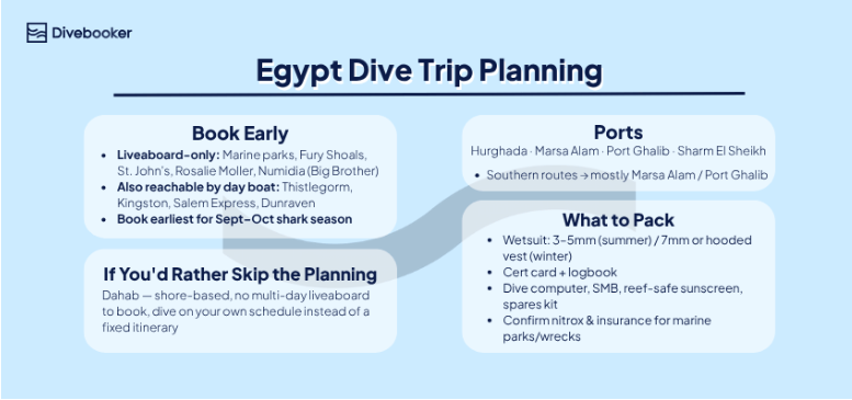 Infographic showing Egypt dive trip planning tips, liveaboard ports, and packing advice