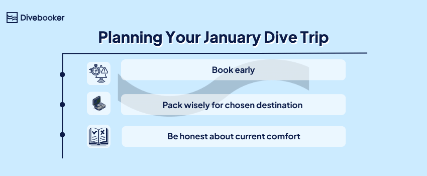 Divebooker infographic: Planning Your January Dive Trip: book early, pack wisely for your chosen destination, and be honest about current comfort