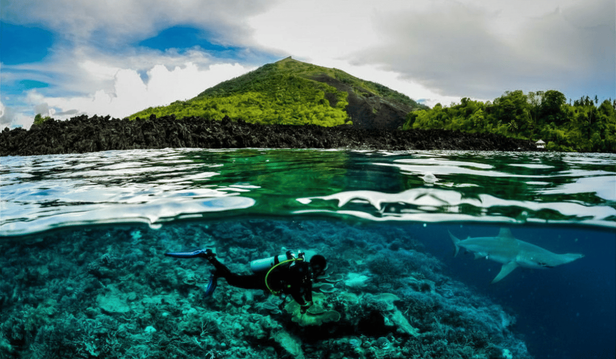 Over-under split shot showing a scuba diver and a hammerhead shark underwater, with a lush volcanic island above the surface in the Banda Sea.