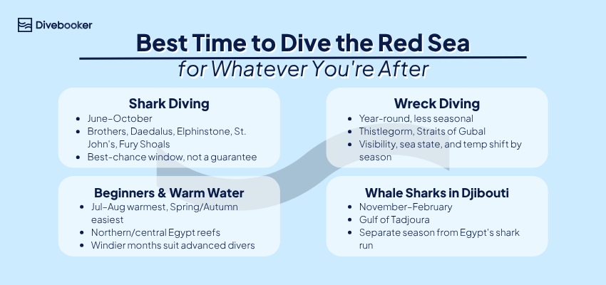 red-sea-dive-style-seasonal-infographic Infographic by Divebooker outlining the best seasons for shark diving, wreck diving, beginners, and whale sharks.