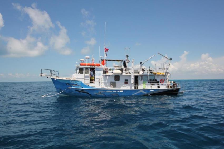 Blue Iguana Charters