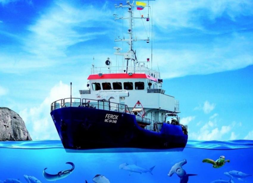 Malpelo Tours