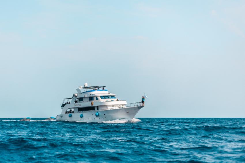 Blue Ocean Dive Centers & Resorts