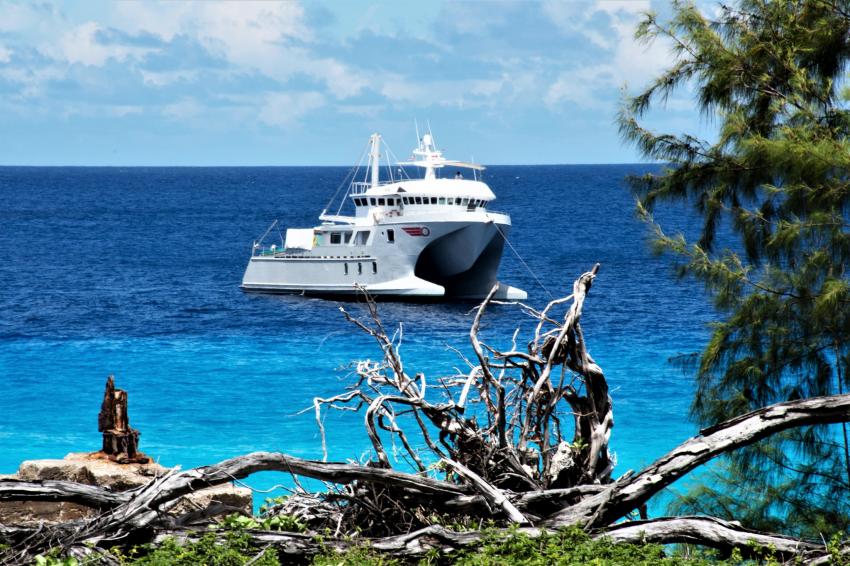 BEST Basilisk Exploration & Scientific Travel GmbH