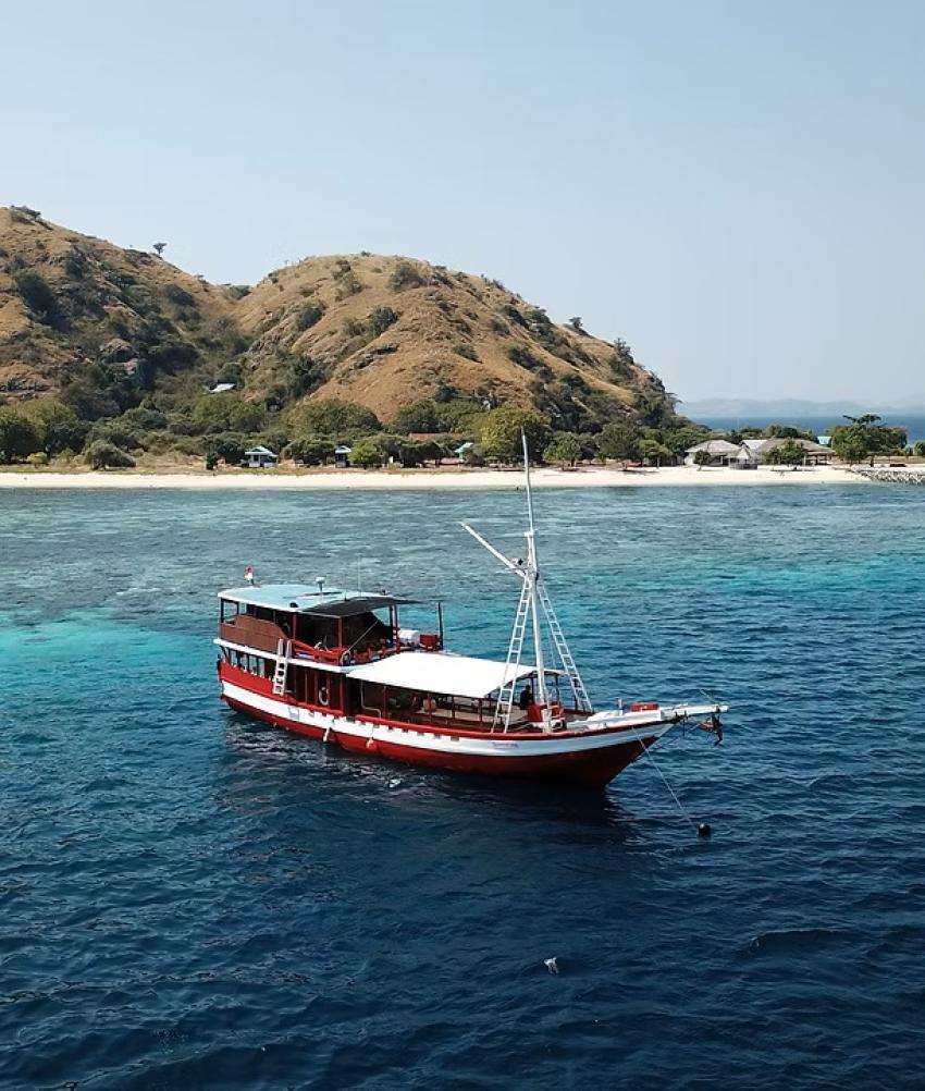 Queenesia Fleet