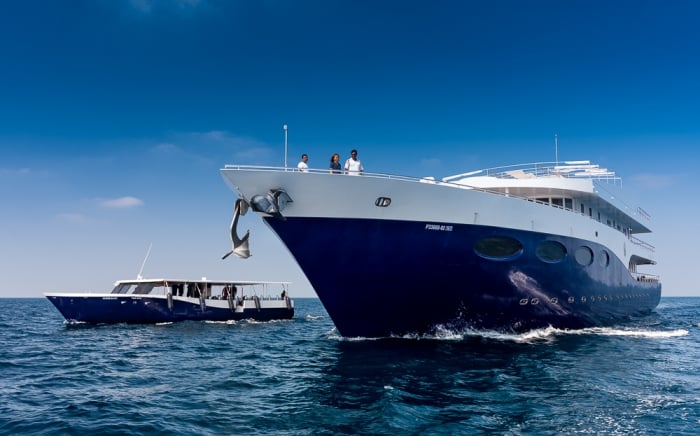 Scubaspa Yang is both a dive yacht and a floating spa, ideal for divers and non-divers alike. Routes feature manta rays, coral drifts, and onboard wellness indulgence