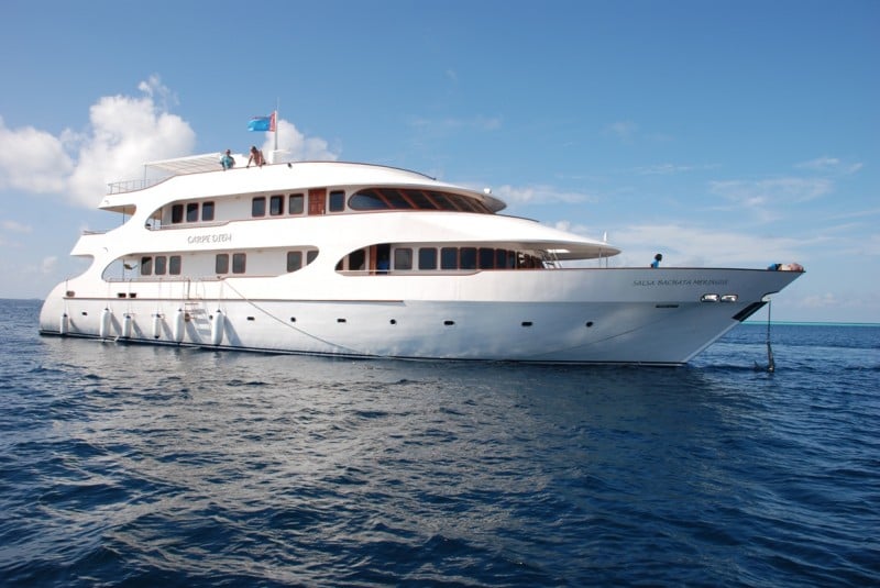 Carpe Diem sails across the Maldives' central atolls, visiting famed dive sites like Maaya Thila and Fotteyo Kandu. Expect grey reef sharks, manta rays, and lush coral formations