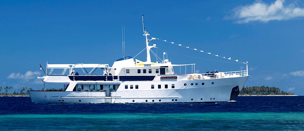 Operated by Wakatobi, Pelagian is a luxury yacht tailored for divers who value personalized service, macro-rich muck diving, and reef perfection in Southeast Sulawesi