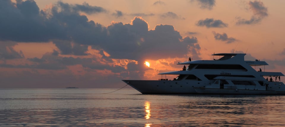 Princess Haleema liveaboard sails through the Maldives’ central and southern atolls, combining modern comfort with thrilling dives featuring whale sharks, mantas, and reef sharks