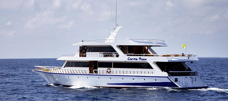 With Italian design flair and warm hospitality, Conte Max blends wellness and diving. Trips include Vaavu and Ari Atolls, where hammerheads and mantas often pass by