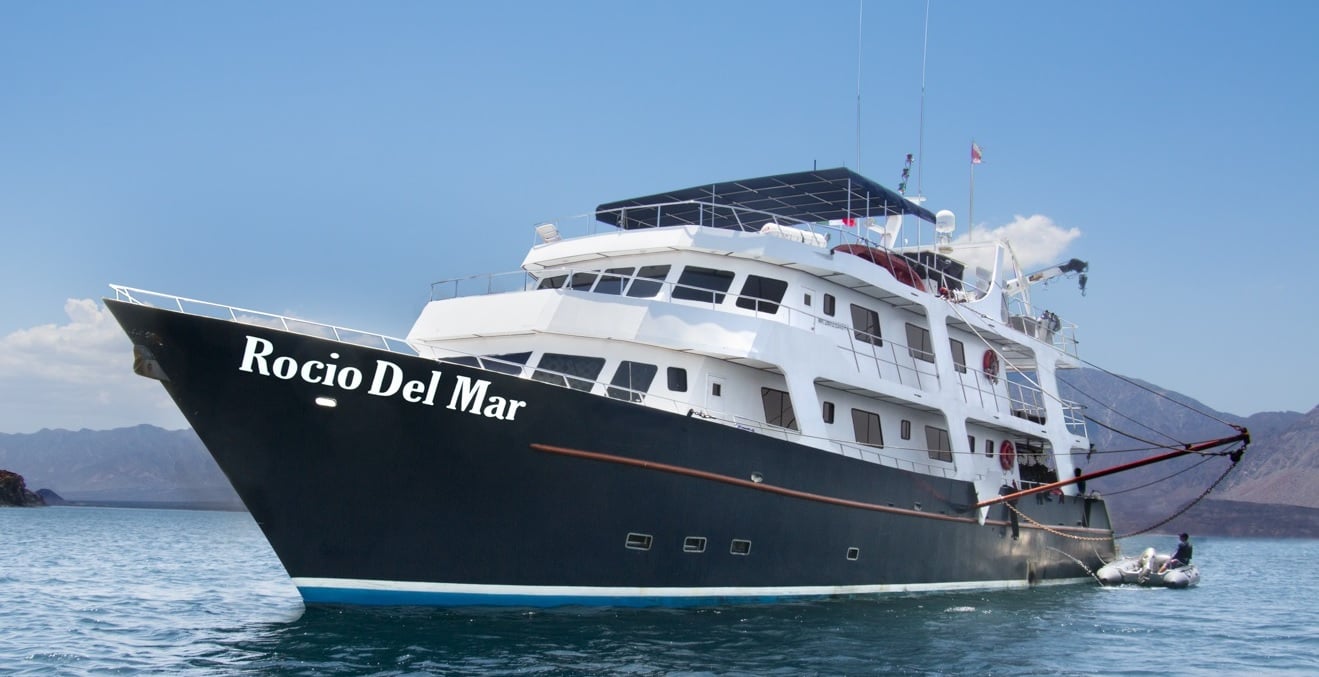 Rocio del Mar travels Baja’s remote outposts - Socorro and the Sea of Cortez - where humpback whales, hammerheads, and curious mantas share the spotlight