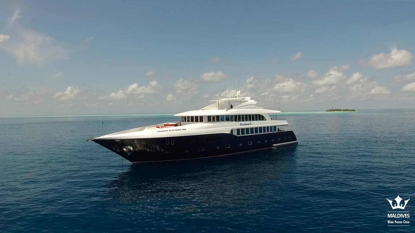 Built for comfort and stability, Maldives Blue Force One cruises across top atolls. Dives include Central Atolls for shark action and colorful coral thilas packed with life