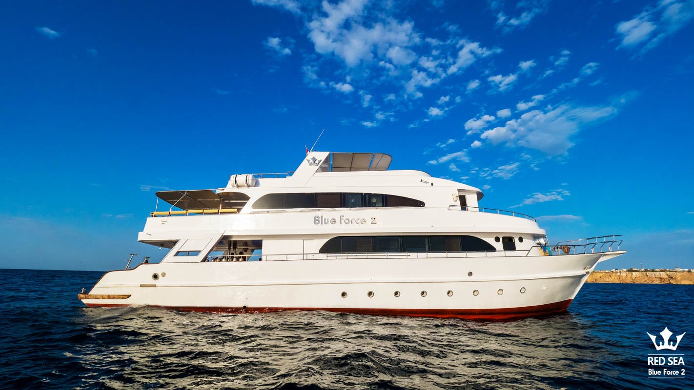 Red Sea Blue Force 2 sails classic northern and southern routes in Egypt, diving the Thistlegorm wreck, Daedalus Reef, and coral-covered drop-offs full of pelagic life