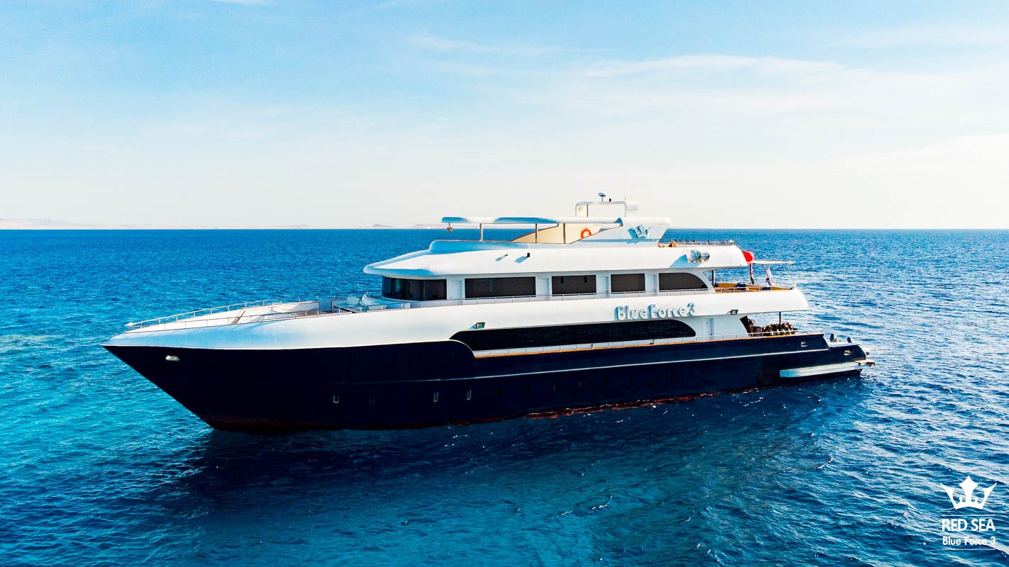 Luxury and exploration blend aboard Maldives Blue Force 3, where manta rays, whale sharks, and spectacular coral formations highlight journeys across the central atolls