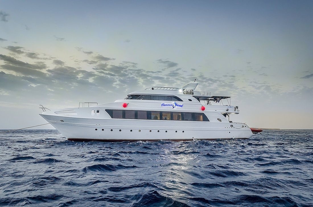 On board Hammerhead I, divers explore southern Egypt’s offshore reefs—think steep drop-offs, strong currents, and a real chance of hammerhead and thresher shark sightings