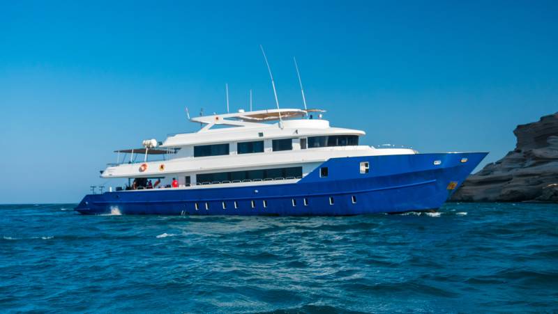 Oman Explorer yacht reveals a lesser-traveled underwater world: coral-studded walls, green turtles, and occasional whale sharks around the Daymaniyat Islands and Hallaniyats