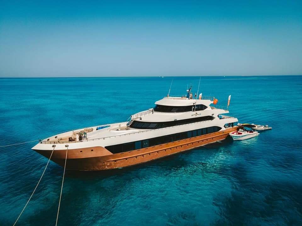 Hammerhead II heads to big-shark territory: Daedalus, Brothers, and Elphinstone. Pelagic action meets dramatic topography in these Red Sea heavyweights