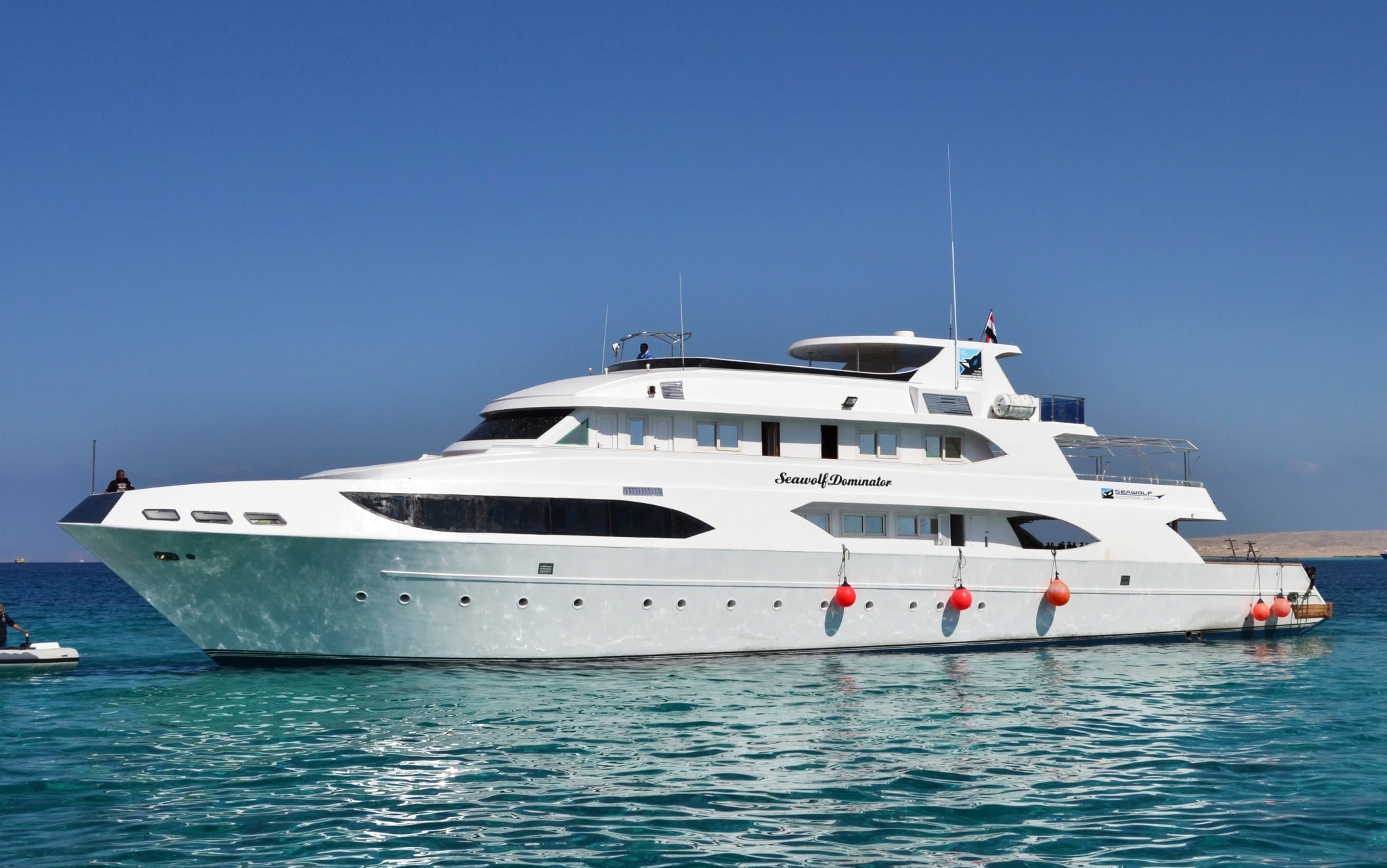 Seawolf Dominator takes on Egypt’s southern Red Sea, diving deep walls at Elphinstone, coral gardens in St. John’s, and the shark-filled waters of Daedalus Reef