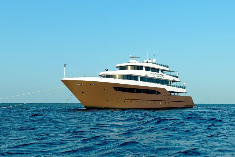 Omneia Spirit brings guests to both central and southern Red Sea sites. Expect sleek modern design paired with dives at Brothers, Daedalus, and St. John’s Reef