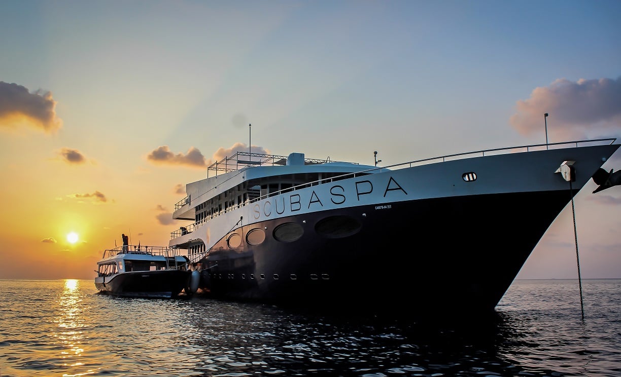 With dual focus on wellness and diving, Scubaspa Yin offers a five-star floating experience. Central atoll dives include Maaya Thila, Fushi Kandu, and vivid coral gardens