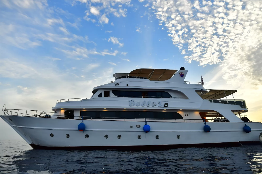 With routes through the deep south, Bella 2 liveaboard takes divers to St. John’s, Sataya, and Fury Shoals - home to dolphin pods, coral gardens, and an array of reef fish