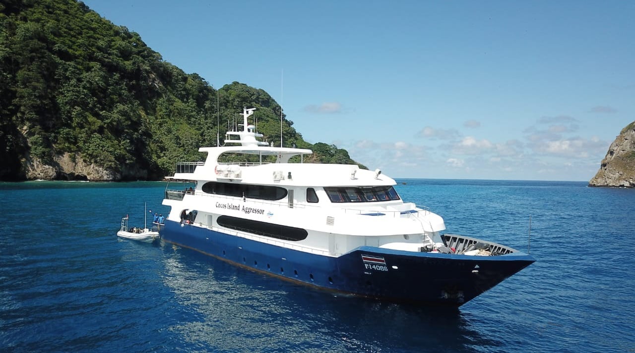 Cocos Island Aggressor takes divers deep into the Pacific to chase adrenaline dives with schooling hammerheads, Galapagos sharks, and swirling tuna off legendary spots like Bajo Alcyone