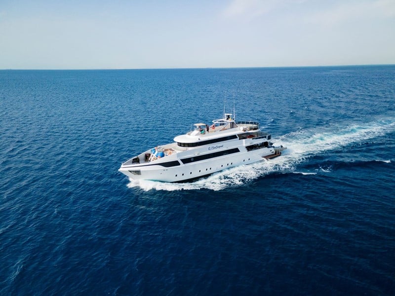 Designed for intimate diving experiences, Sea Serpent Serena Dreams accommodates up to 18 guests, exploring Egypt's Red Sea sites like Ras Mohammed and the SS Thistlegorm, known for rich marine life and historic wrecks