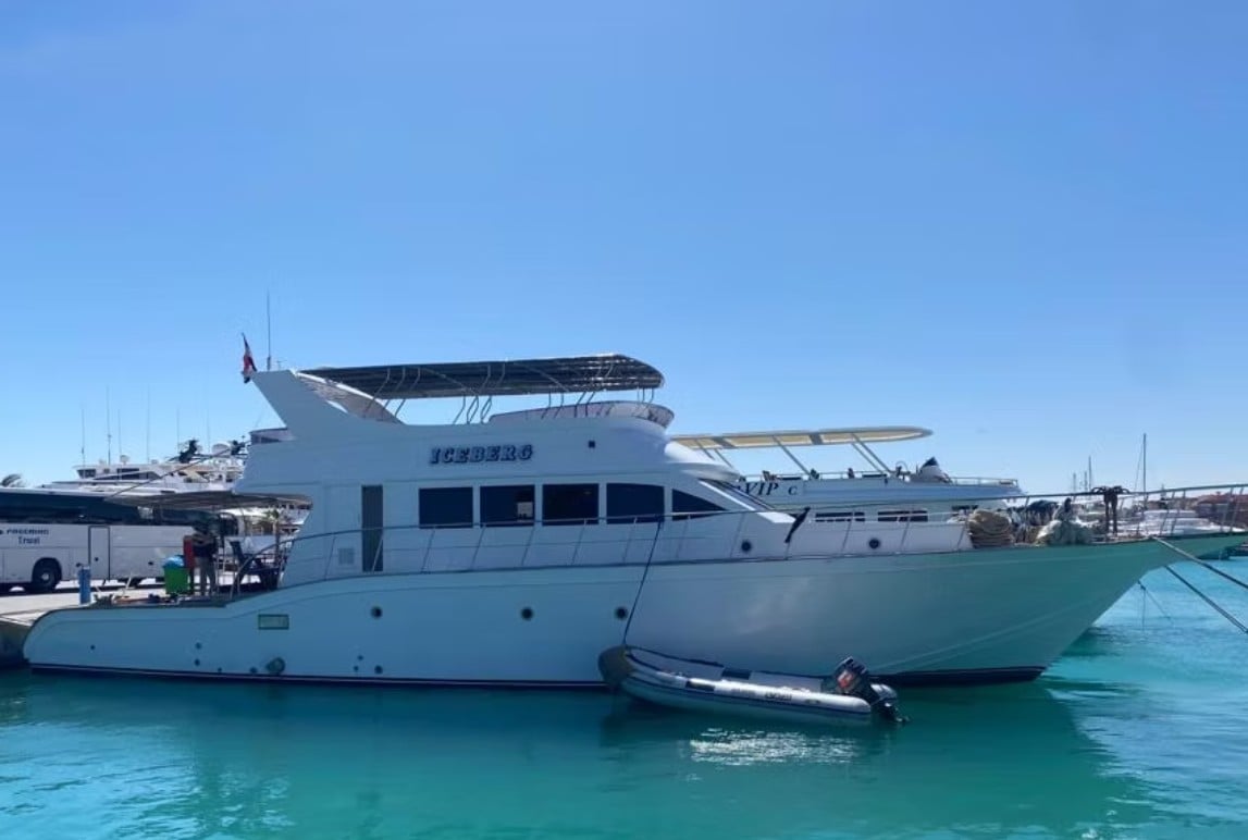 Iceberg is a modern liveaboard navigating Egypt’s deep south, taking guests to Daedalus, Elphinstone, and remote reefs where oceanic whitetips and hammerheads pass by