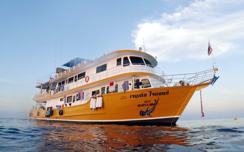Dive Thailand’s Andaman Sea with Gentle Giant liveaboard—6-night, 22-dive cruises to Similan Islands, Richelieu Rock, Hin Daeng & more. Small group comfort, top sites, limited departures