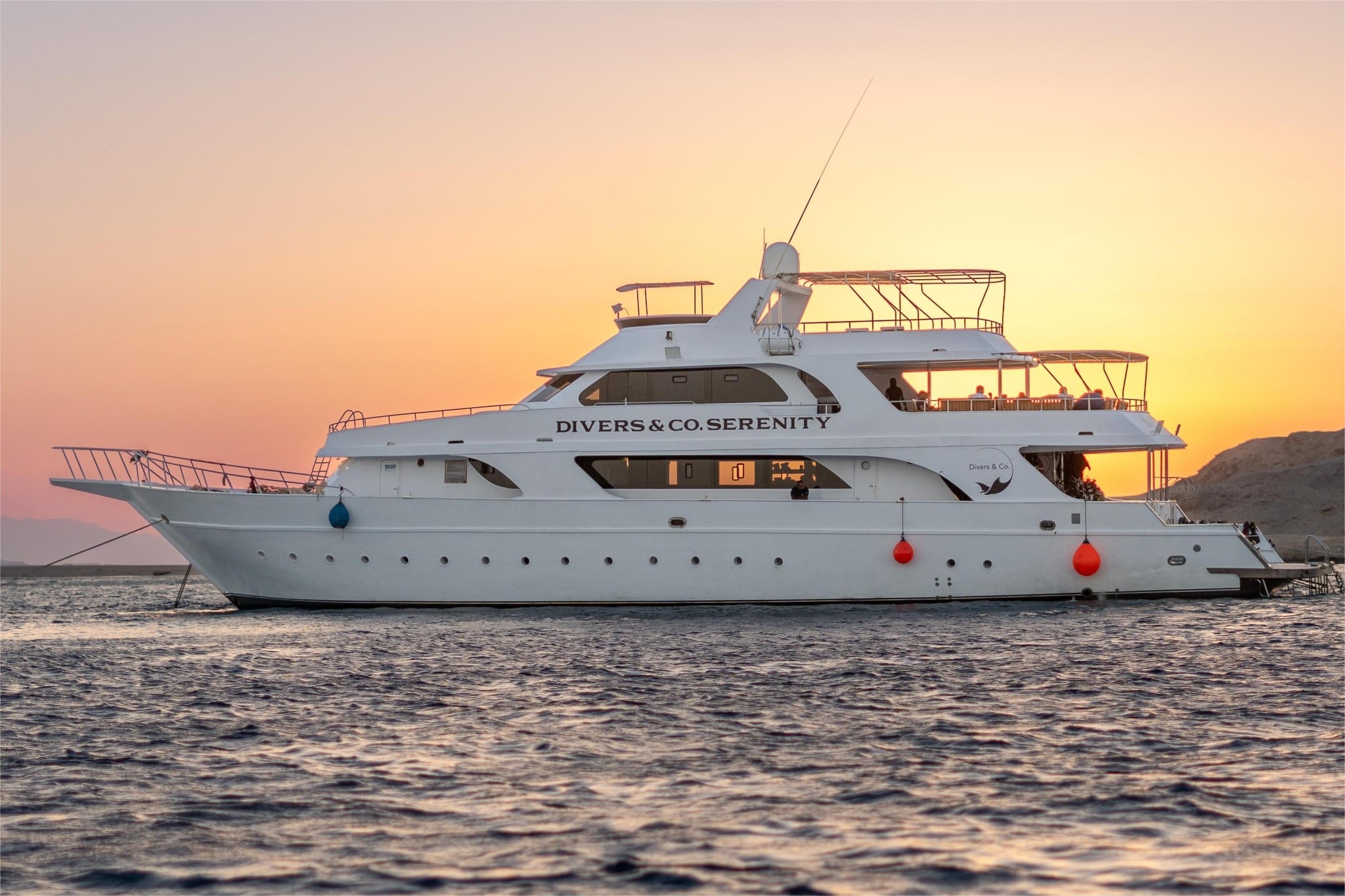 Serenity liveaboard cruises Egypt’s Red Sea, diving Ras Mohammed, Elphinstone, and the SS Thistlegorm wreck, where hammerheads, dolphins, and vivid coral gardens are regularly seen