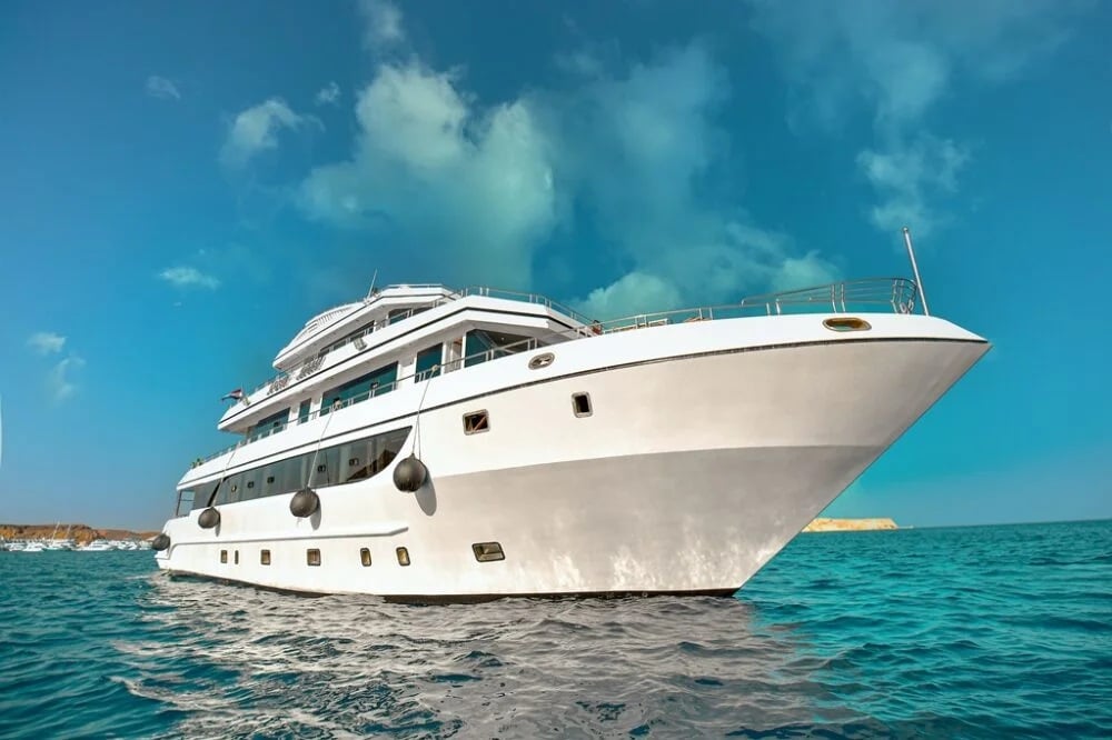 South Moon 1 is a brand-new steel yacht, constructed specifically for diving trips in comfort in Egypt&'s well-known Sinai region. The 30-meter-long and 8-meter-wide vessel holds a maximum...
