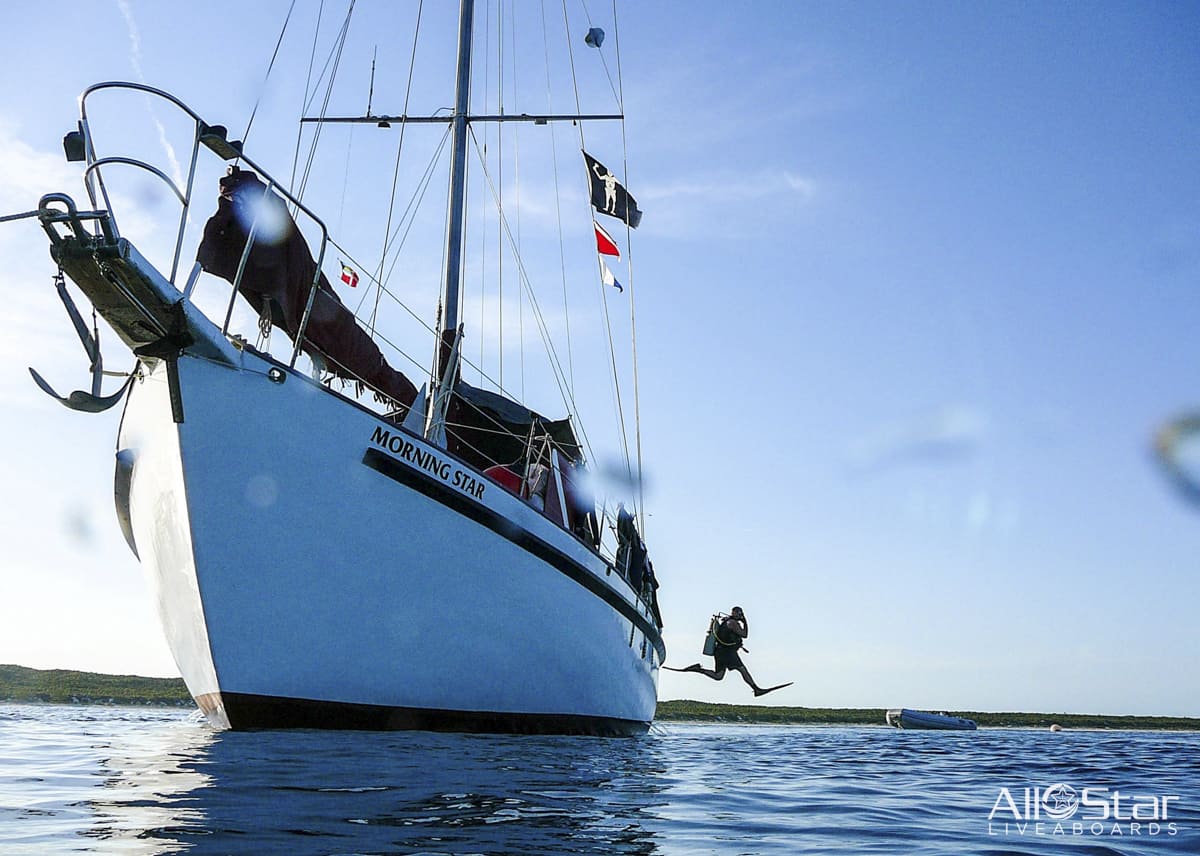 Morning Star offers no-frills diving in the Bahamas, where crystal-clear waters, Caribbean reef sharks, and vibrant reefs make each dive worth remembering