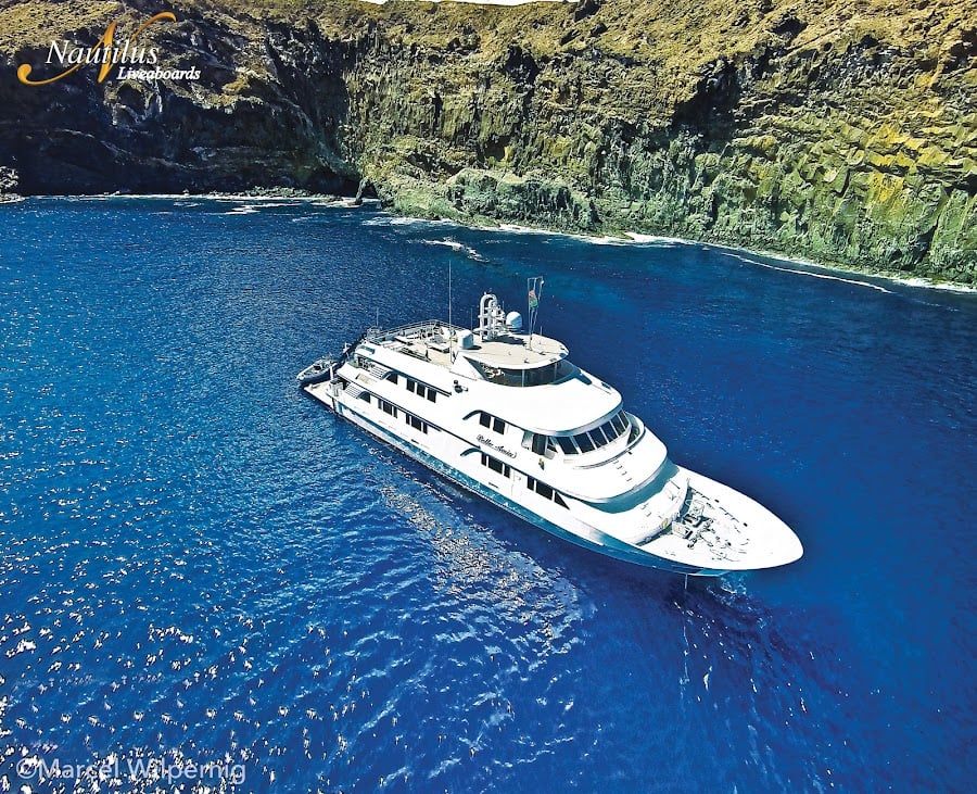 Nautilus Belle Amie brings divers up close to Socorro’s stars—giant mantas, dolphins, and sharks—on a large, stable platform ideal for remote Pacific adventures