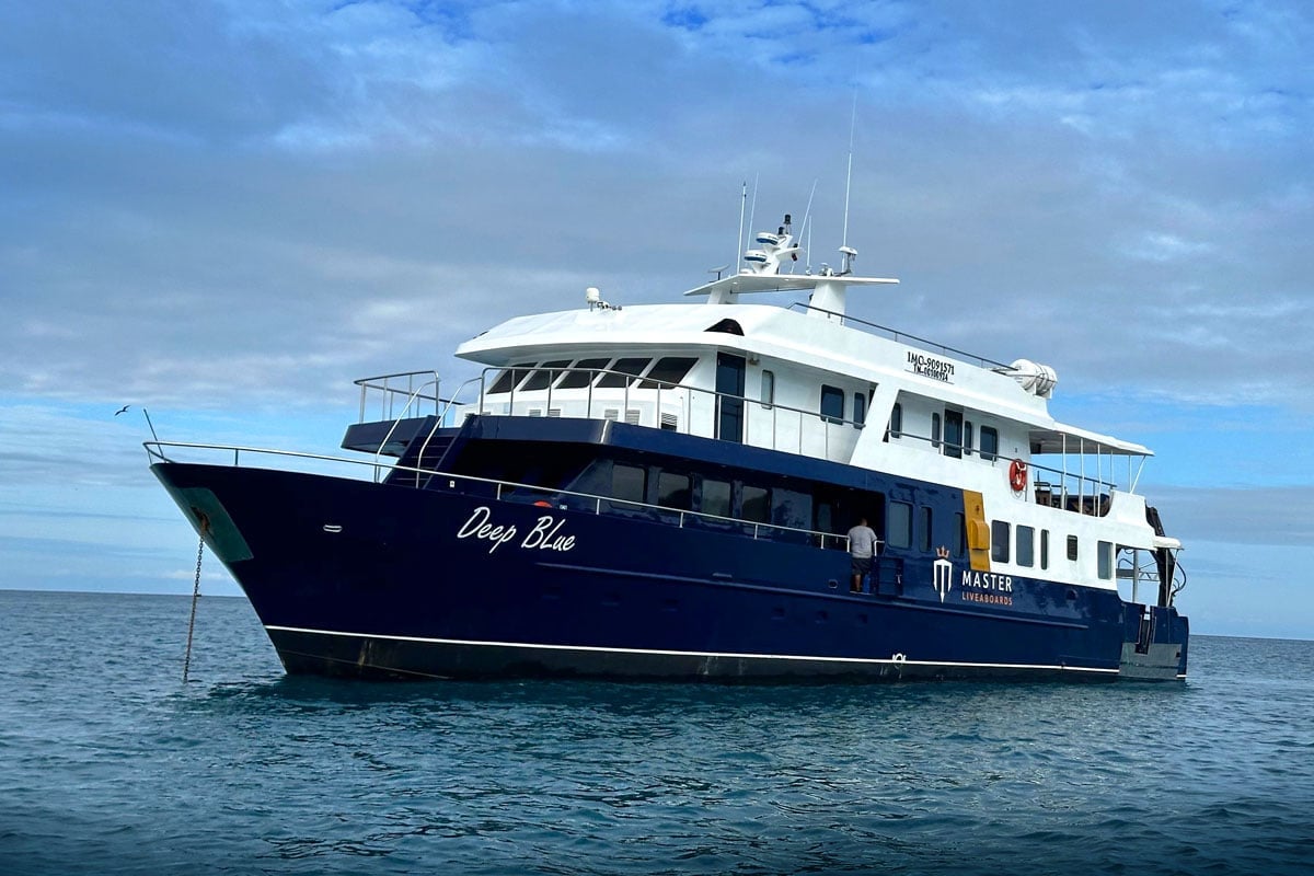 Galapagos Master cruises Darwin and Wolf Islands with an eye for pelagics—hammerheads, Galapagos sharks, and even mola molas make appearances