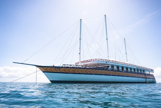 Nautilus Two, a 43-meter yacht, offers spacious cabins and explores the Maldives' atolls, diving at sites like Maaya Thila and Fish Head, known for encounters with reef sharks, manta rays, and vibrant coral ecosystems